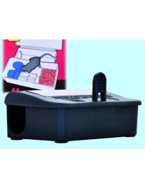 CONTENITORE ESCHE TOPI PICCOLA