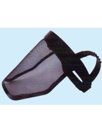 MASCHERA PROT DECESP RETE RIBA