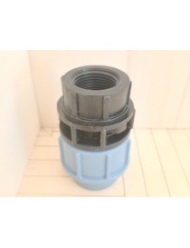 GIUNTO POLIETILENE D 20X1/2 F