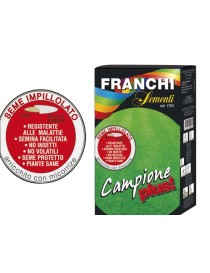 SEMI PRATO CAMPIONE  KG 1