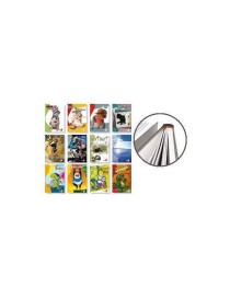 QUADERNO A4 CARTONATO FANTASIA B 3 ELEMENTARE